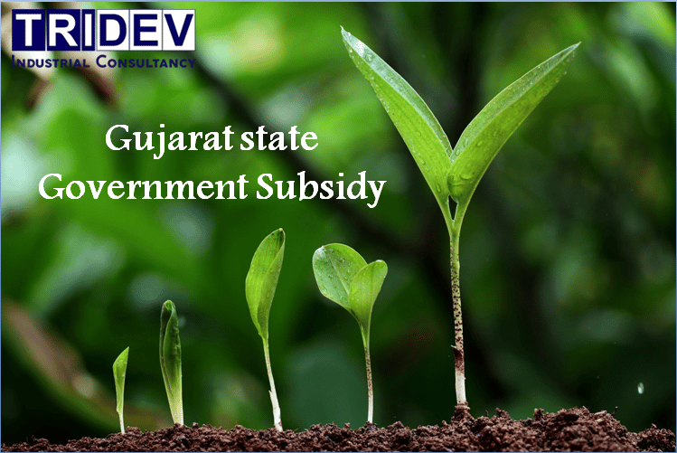 Gujarat State Government Subsidy