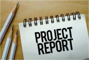 Project Loan & Details Project Report